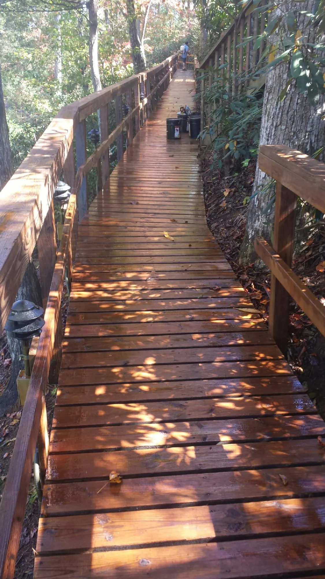 Freshly stained wood walkway winding through the woods in Park City